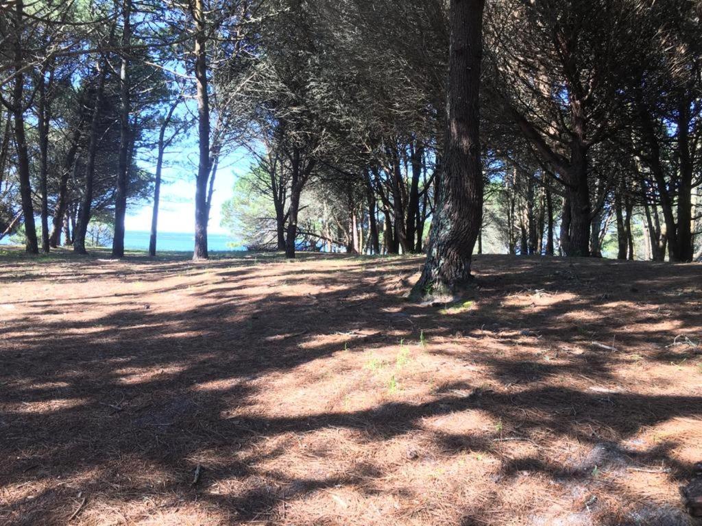 Casa Campelo - Apto Playa De Rodeira Cangas, Garaje Y Wifi Gratis Εξωτερικό φωτογραφία